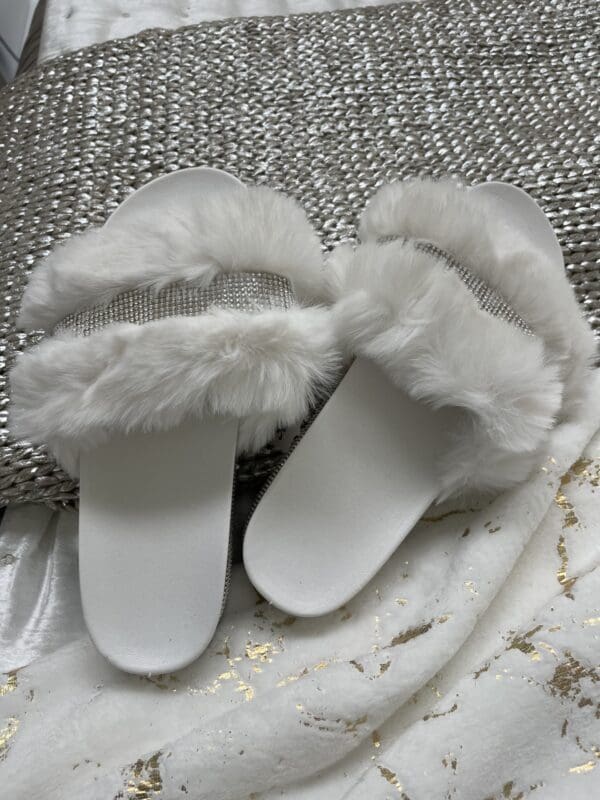 Fur and Gem Slides - Image 2